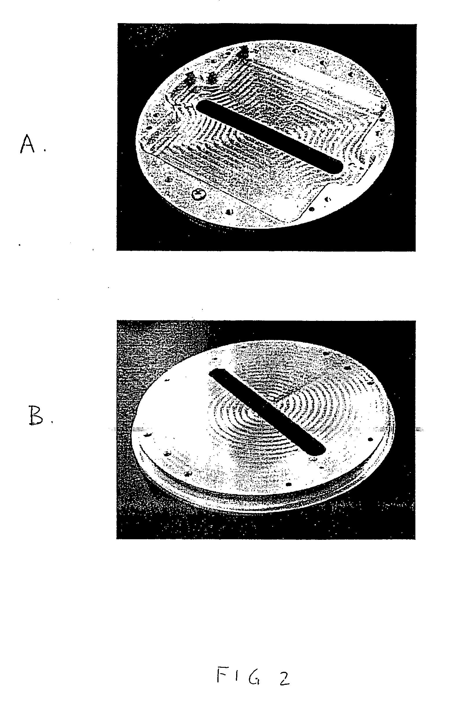 High-density ion transport measurement biochip devices and methods