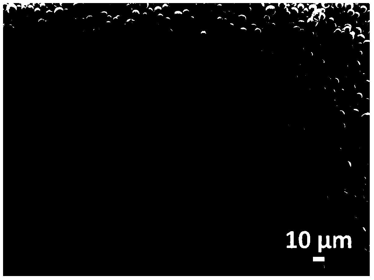 High-rubber polypropylene polyphase copolymer resin used for 3D printing, and preparation method and application thereof