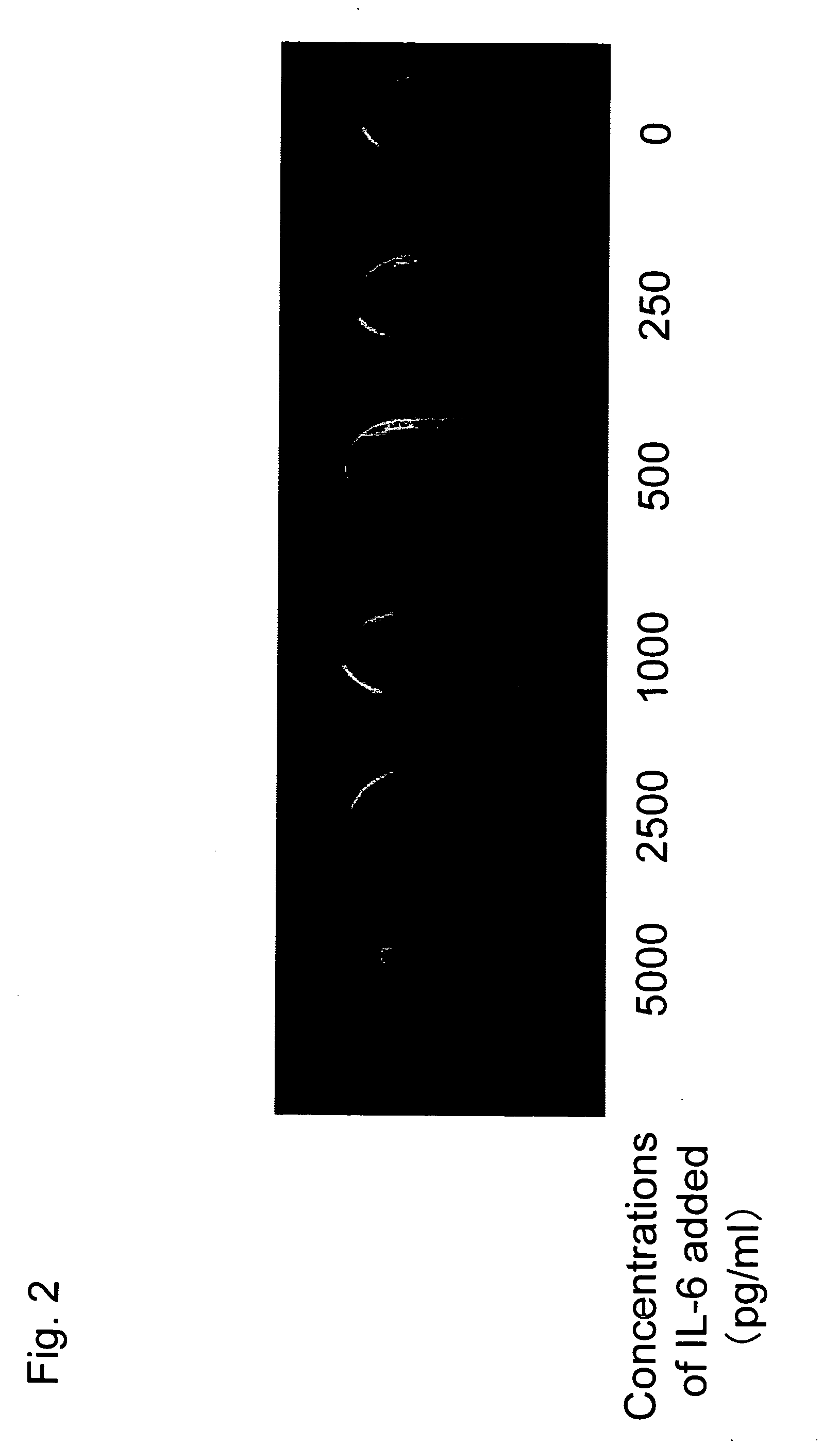 Method for Rapidly and Conveniently Detecting Target Substances and Enzyme Immunological Kit Therefor