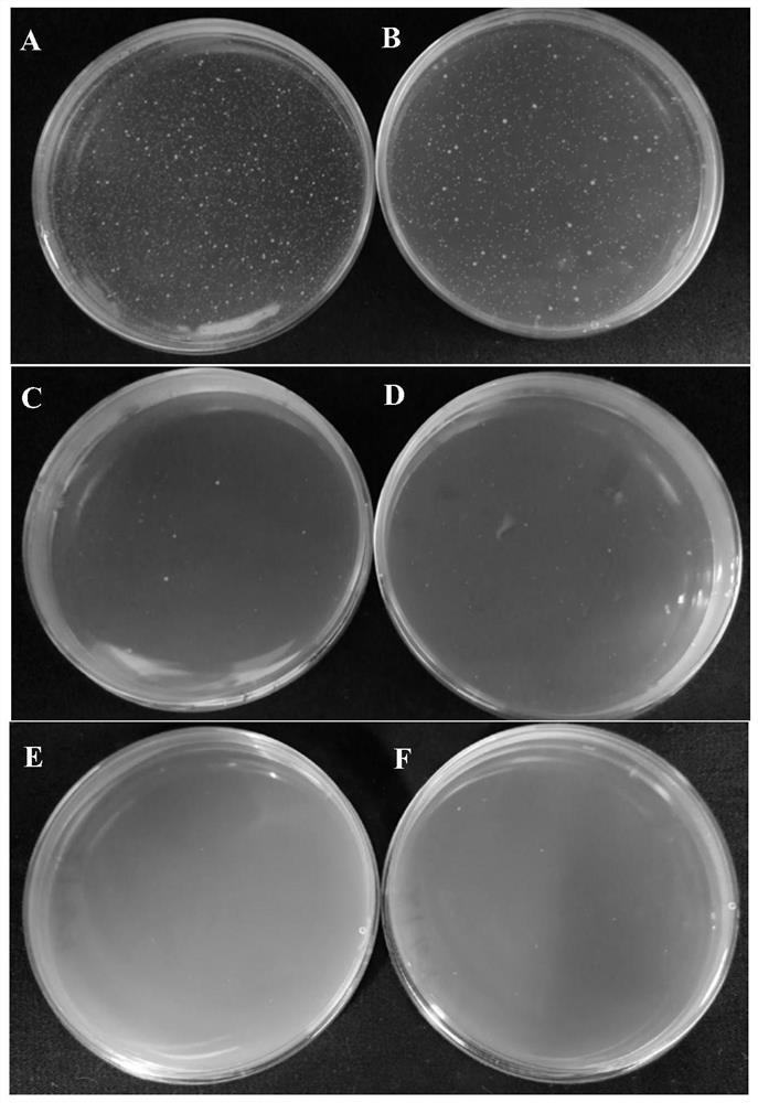 Antibacterial silk fibroin and preparation method thereof