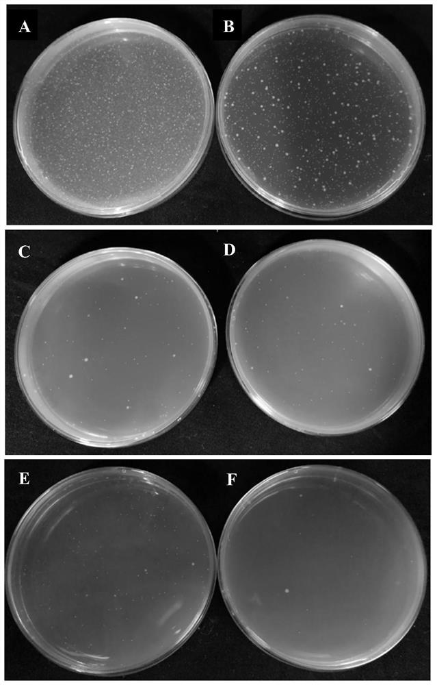 Antibacterial silk fibroin and preparation method thereof