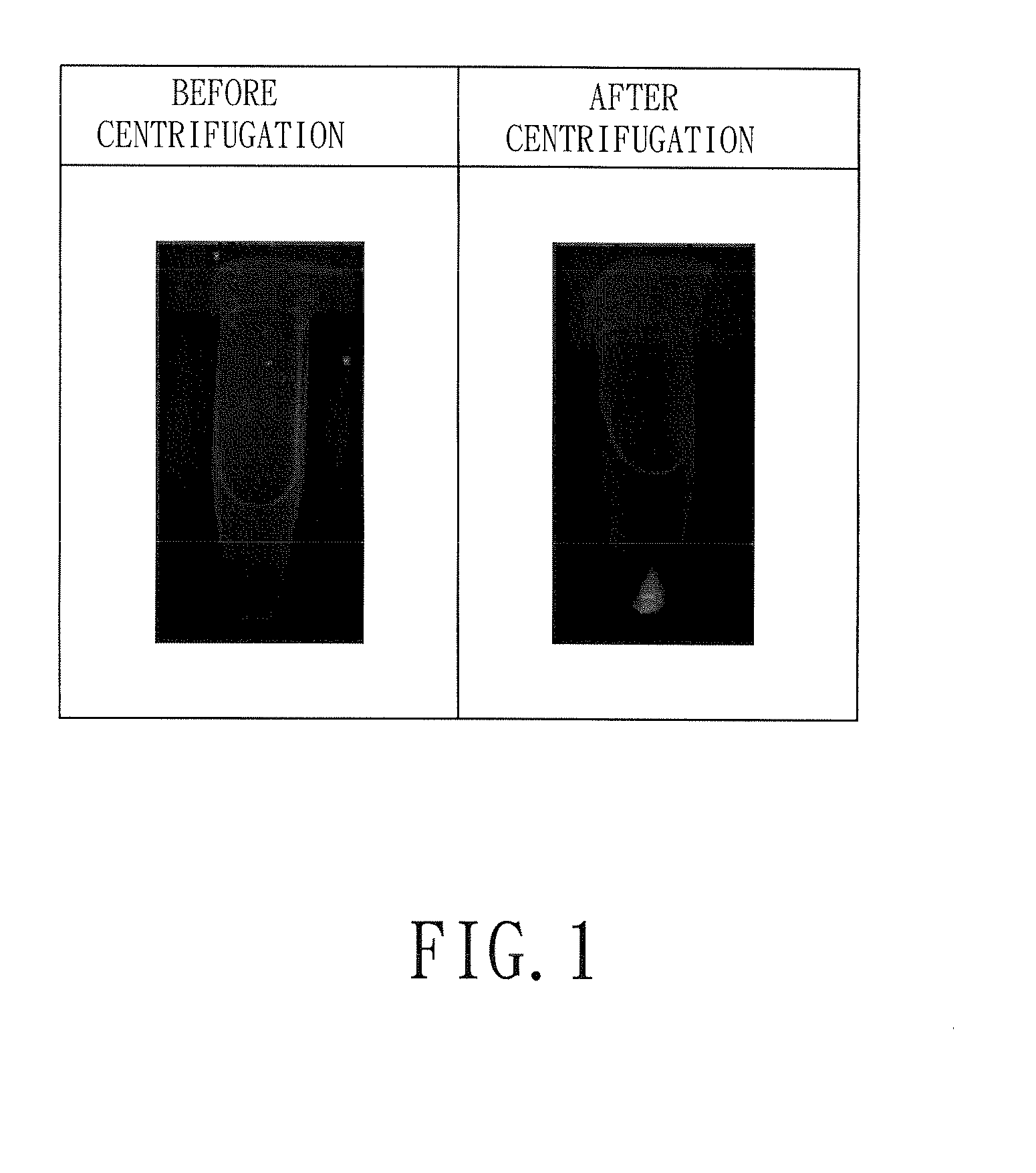 Method for making fluorescent gold nano-material