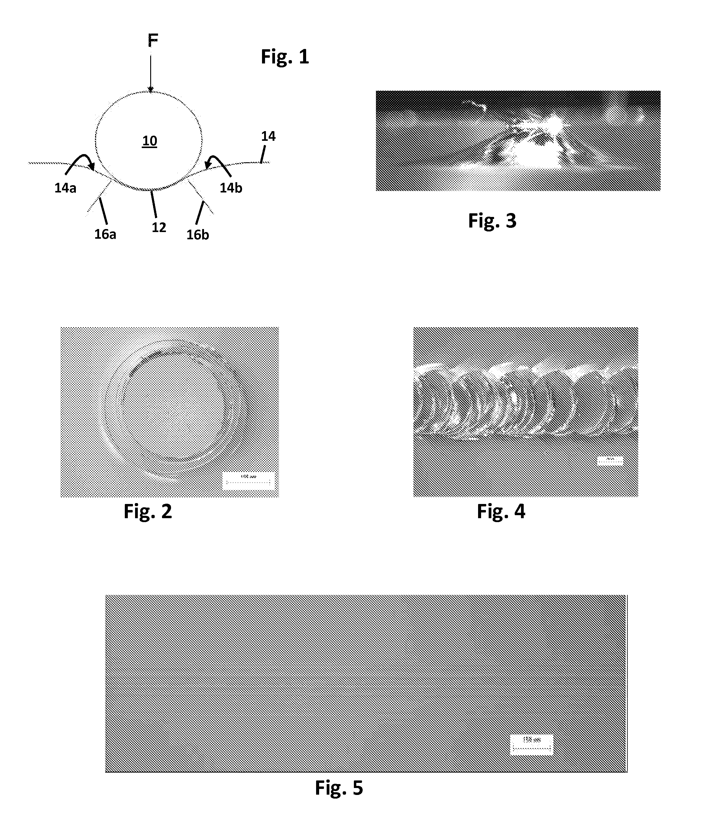 Glass with high frictive damage resistance