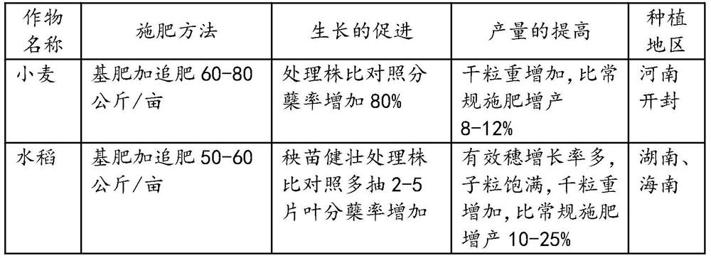 Microbial fertilizer containing biological enzyme amino acid and preparation method thereof