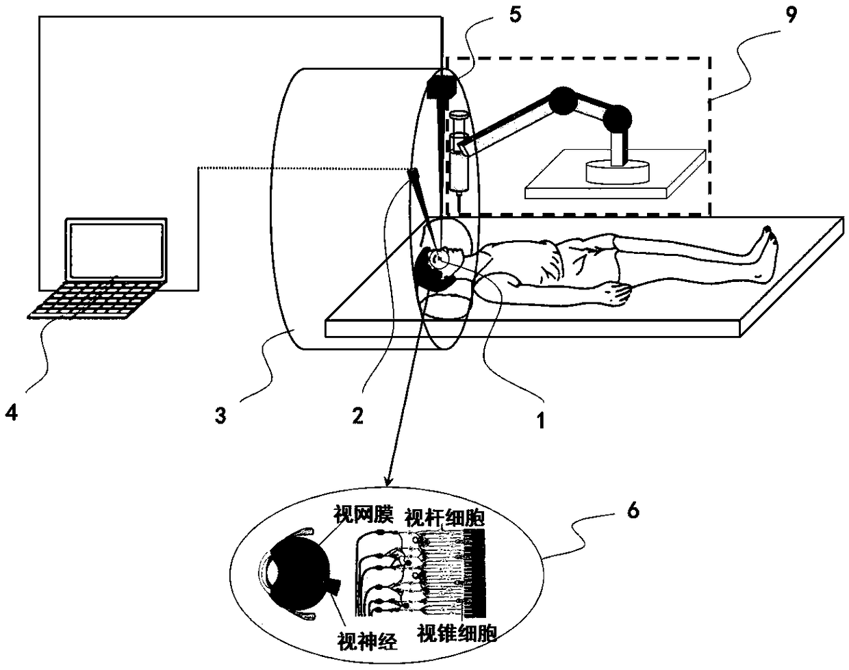 System for treating blindness