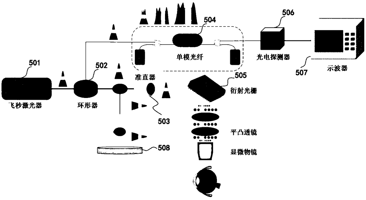 System for treating blindness