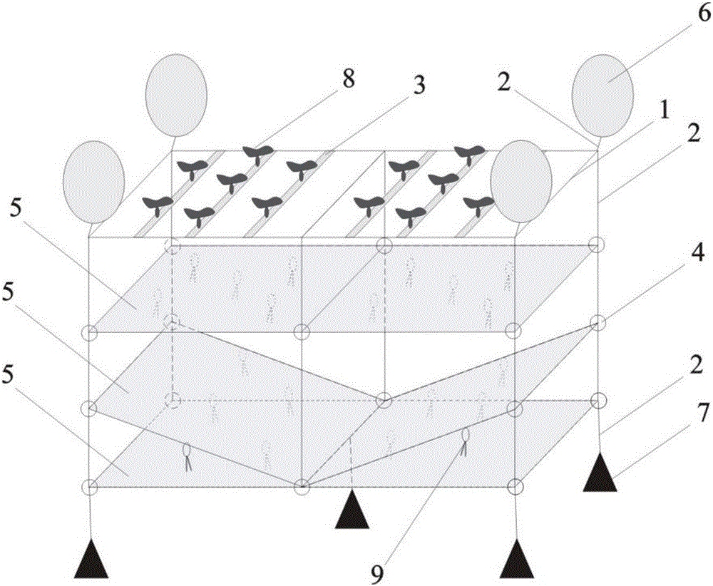 High-density layered intensive cultivation method for giant freshwater prawns