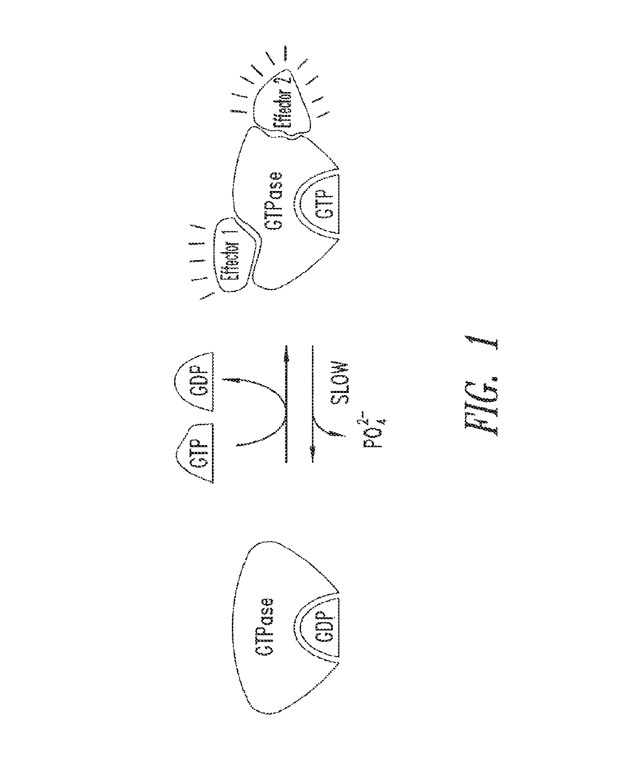 Inhibitors of RAS and methods of use thereof