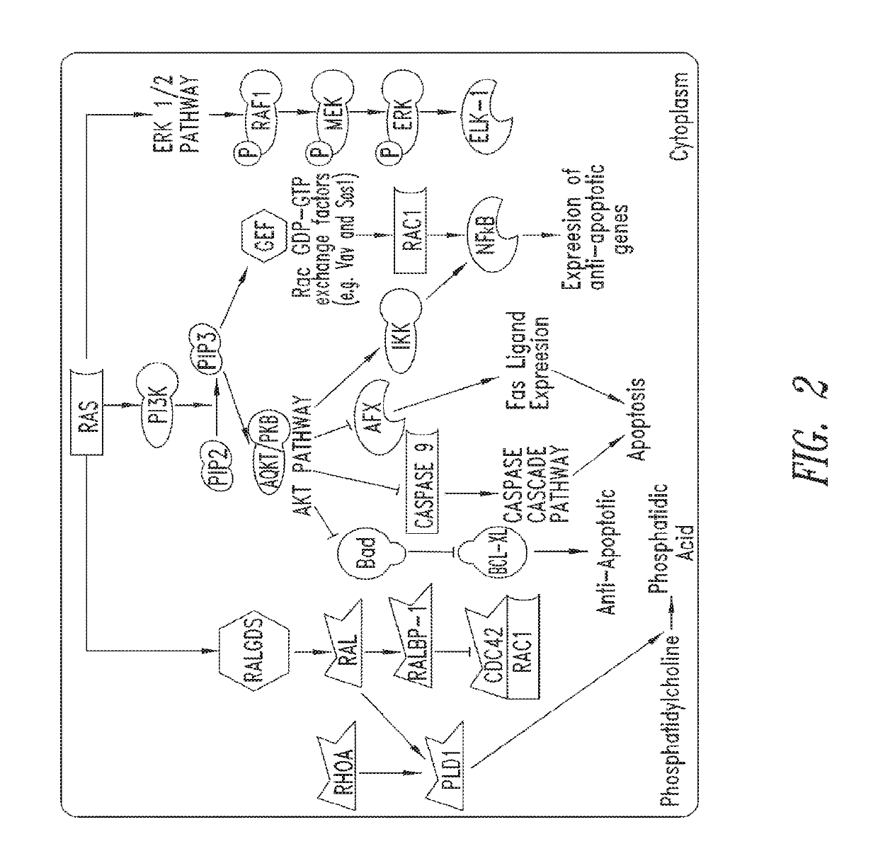 Inhibitors of RAS and methods of use thereof