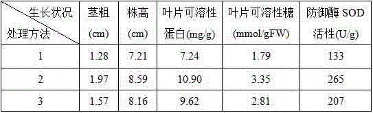 Water-soluble granular fertilizer and preparation method thereof