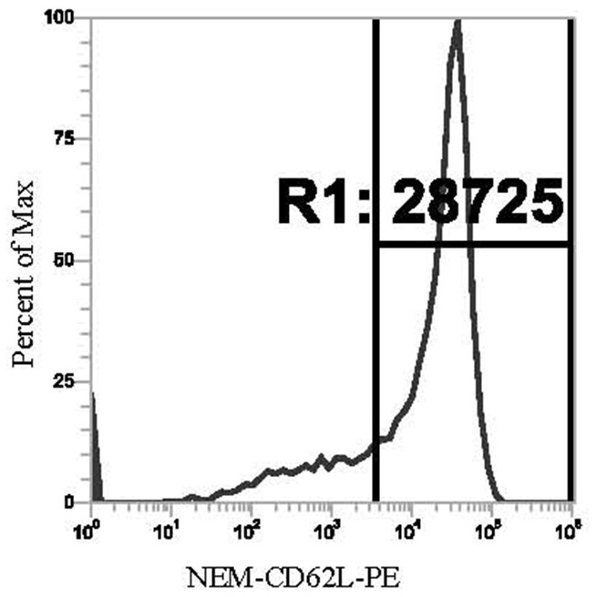 Preparation method of phycoerythrin immunofluorescence probe