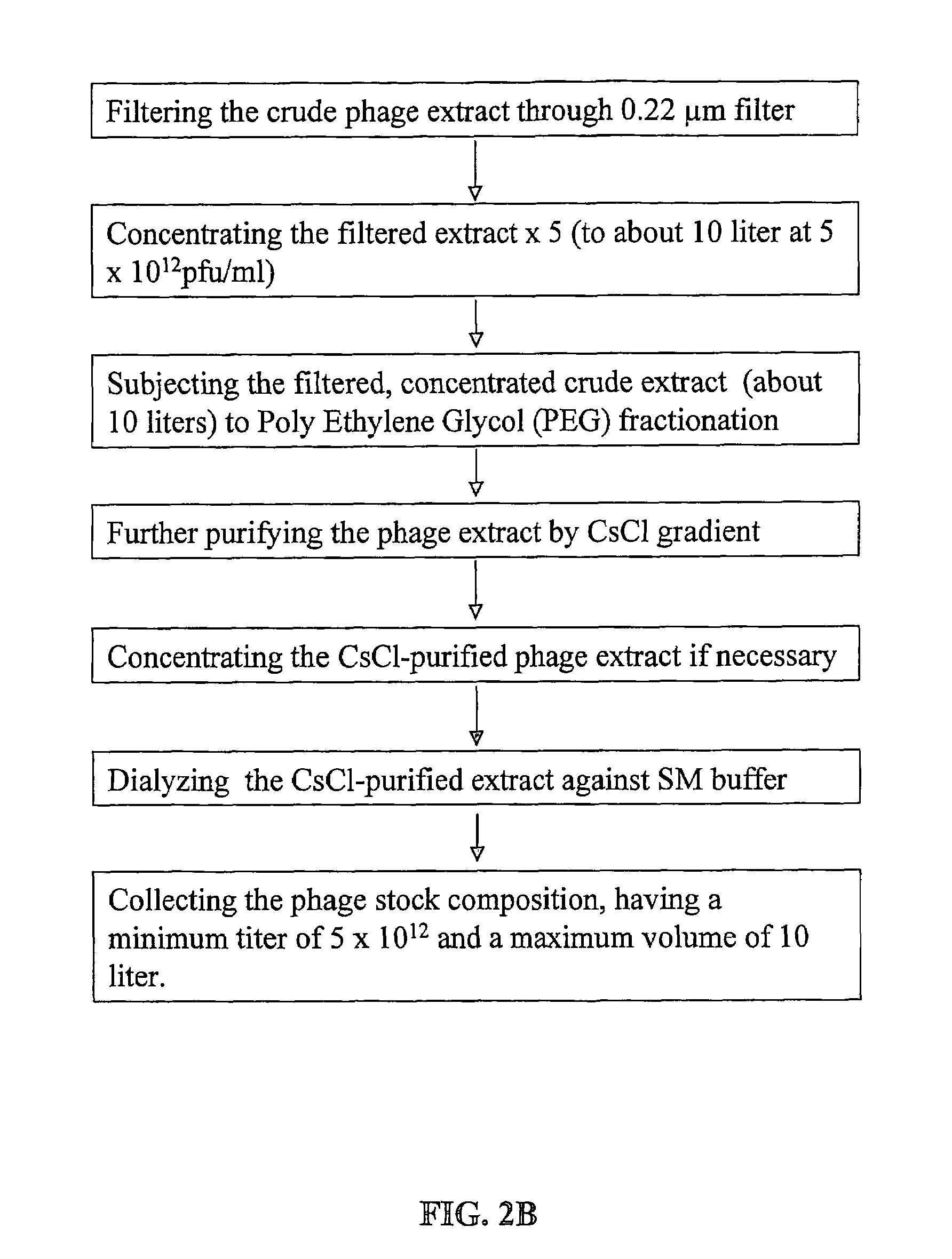 Production of bacteriophage compositions for use in phage therapy