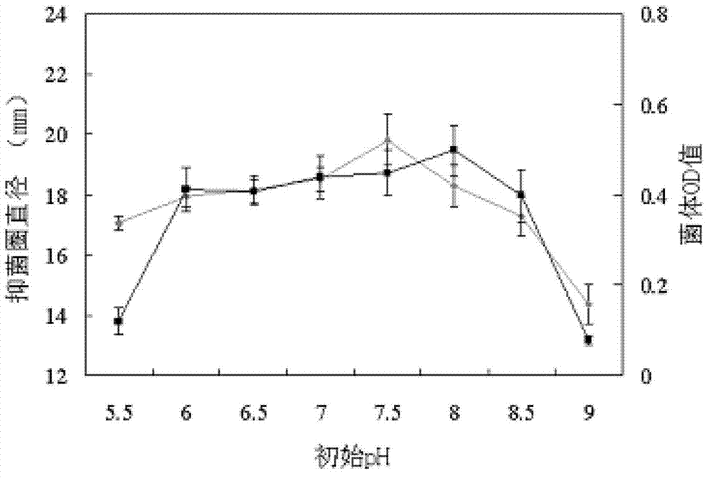 Biocontrol agent for preventing and curing bacterial wilt and club roots of plant as well as preparation method and application thereof