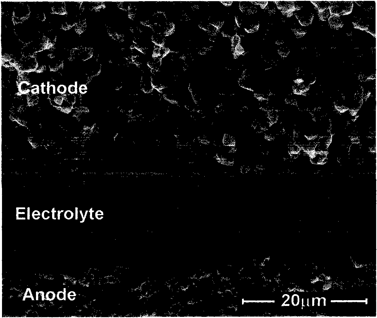 Cathode material of solid oxide fuel cell and preparation method thereof