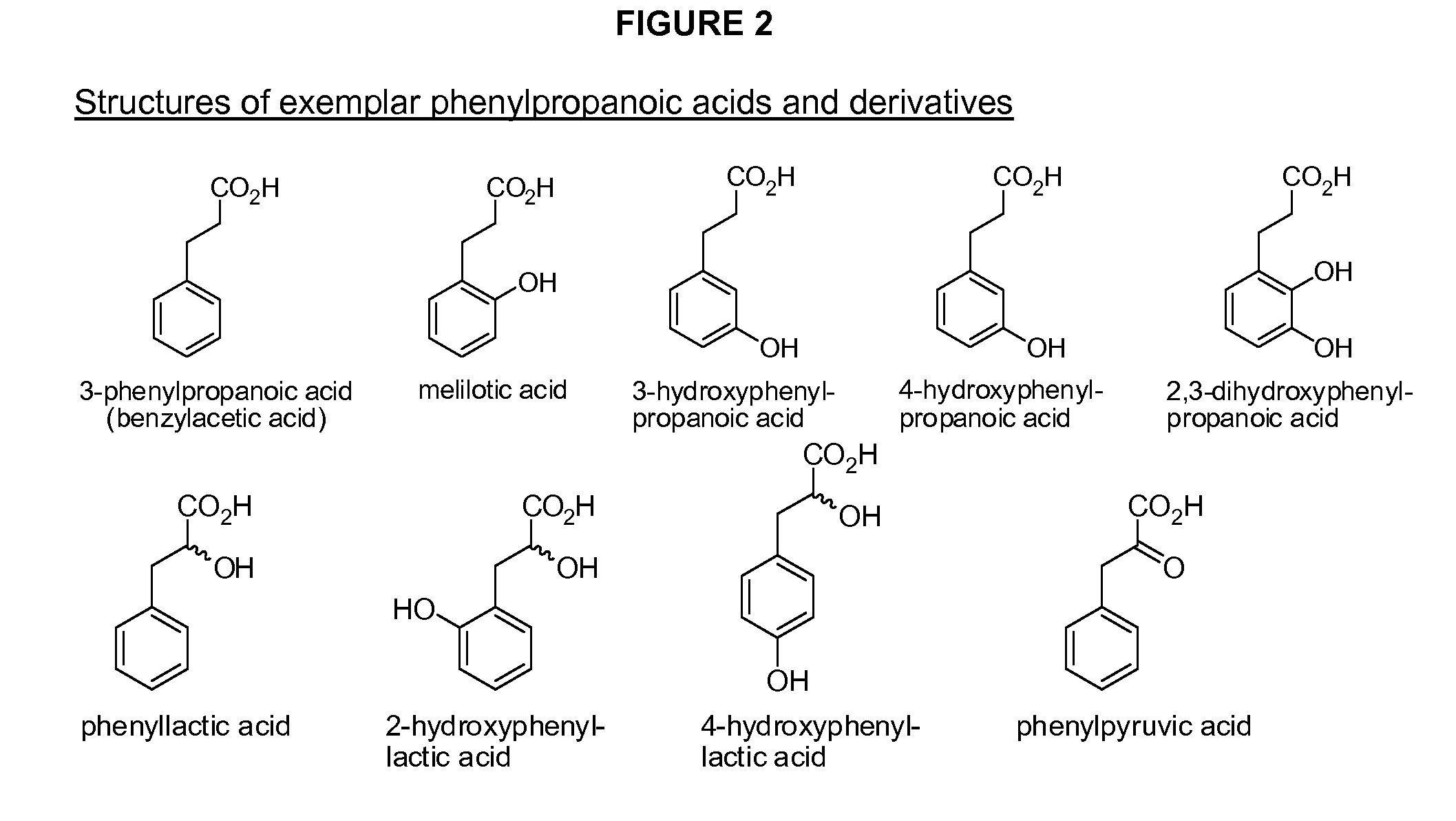 Phenylethanoic acid, phenylpropanoic acid and phenylpropenoic acid conjugates and prodrugs of hydrocodone, method of making and use thereof