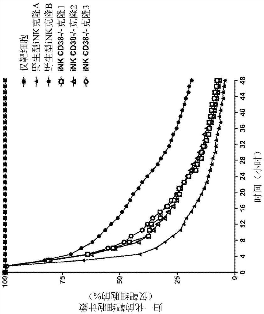 Engineered immune effector cells and use thereof