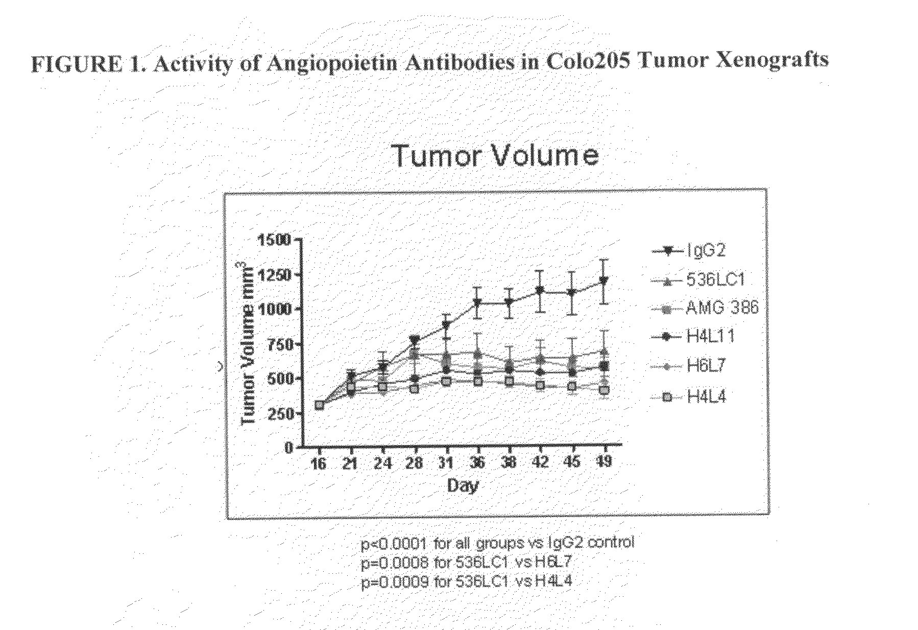 Antibodies directed to angiopoietin-1 and angiopoietin-2 and uses thereof