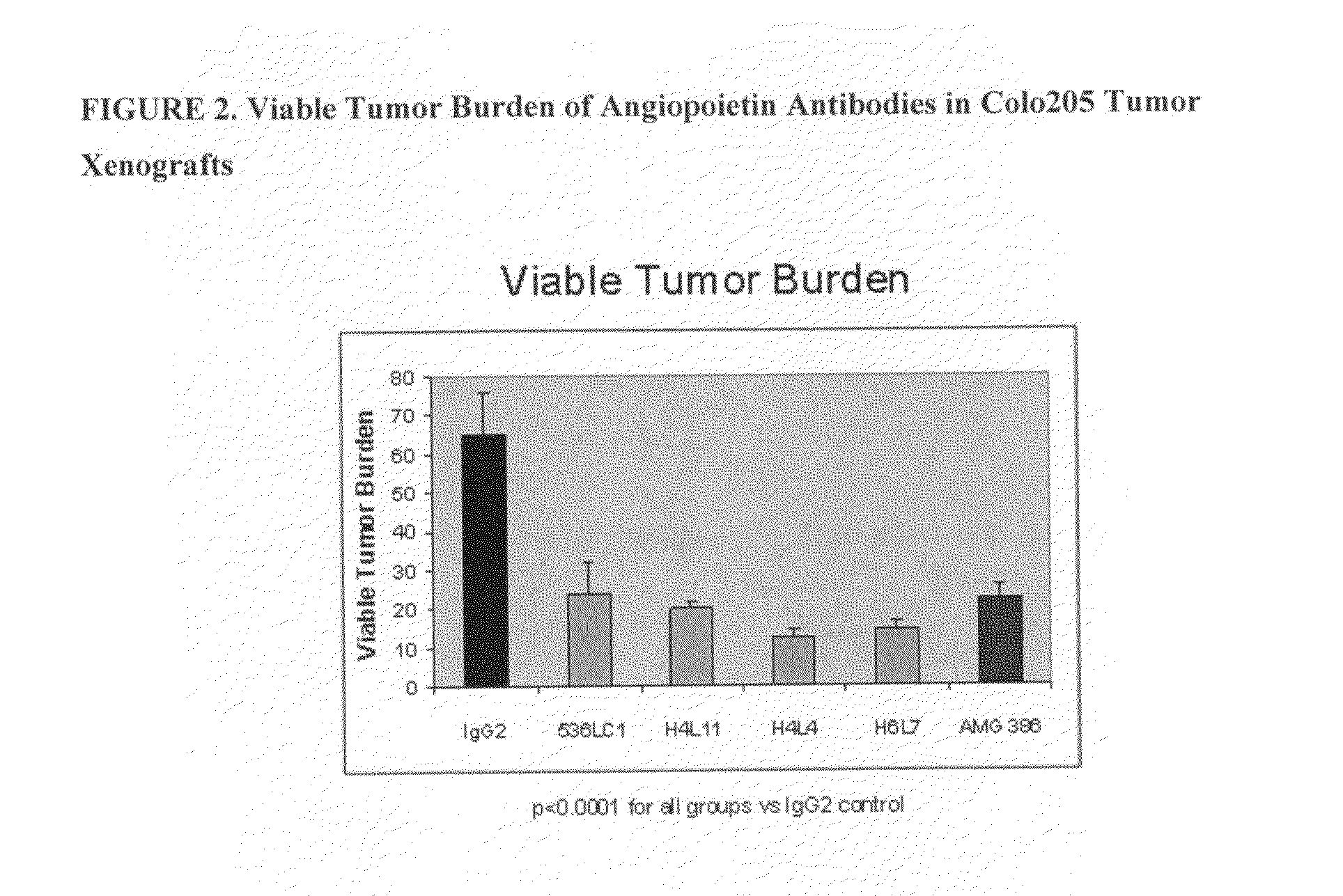 Antibodies directed to angiopoietin-1 and angiopoietin-2 and uses thereof