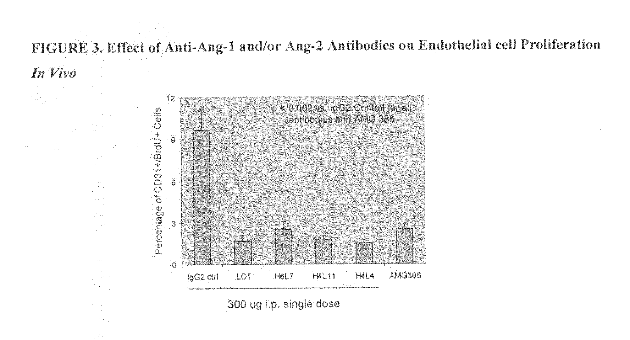 Antibodies directed to angiopoietin-1 and angiopoietin-2 and uses thereof