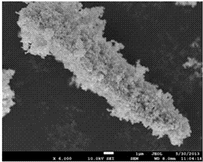 A kind of preparation method of strip nano zno/cellulose gel material