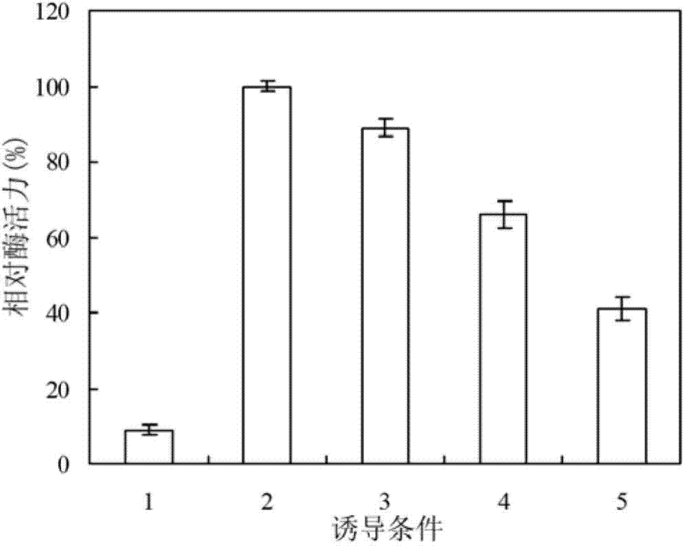 Alpha-L-rhamnosidase and preparing method and applications thereof