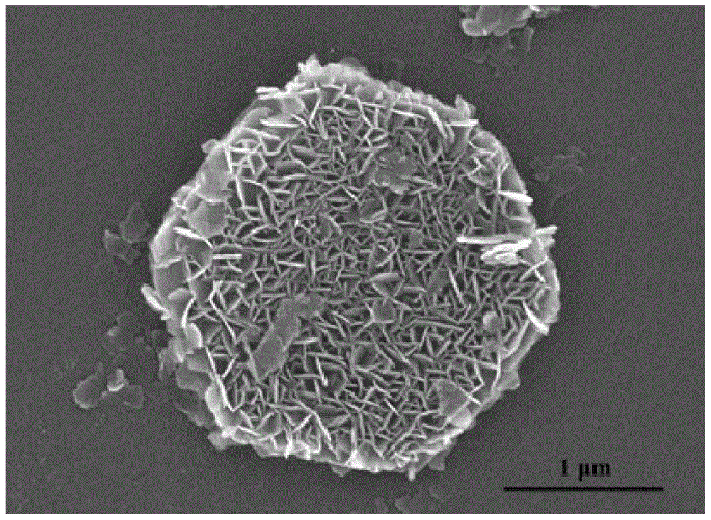 Preparation of multi-stage structured hydrotalcite and application of multi-stage structured hydrotalcite in gasbarrier packaging material