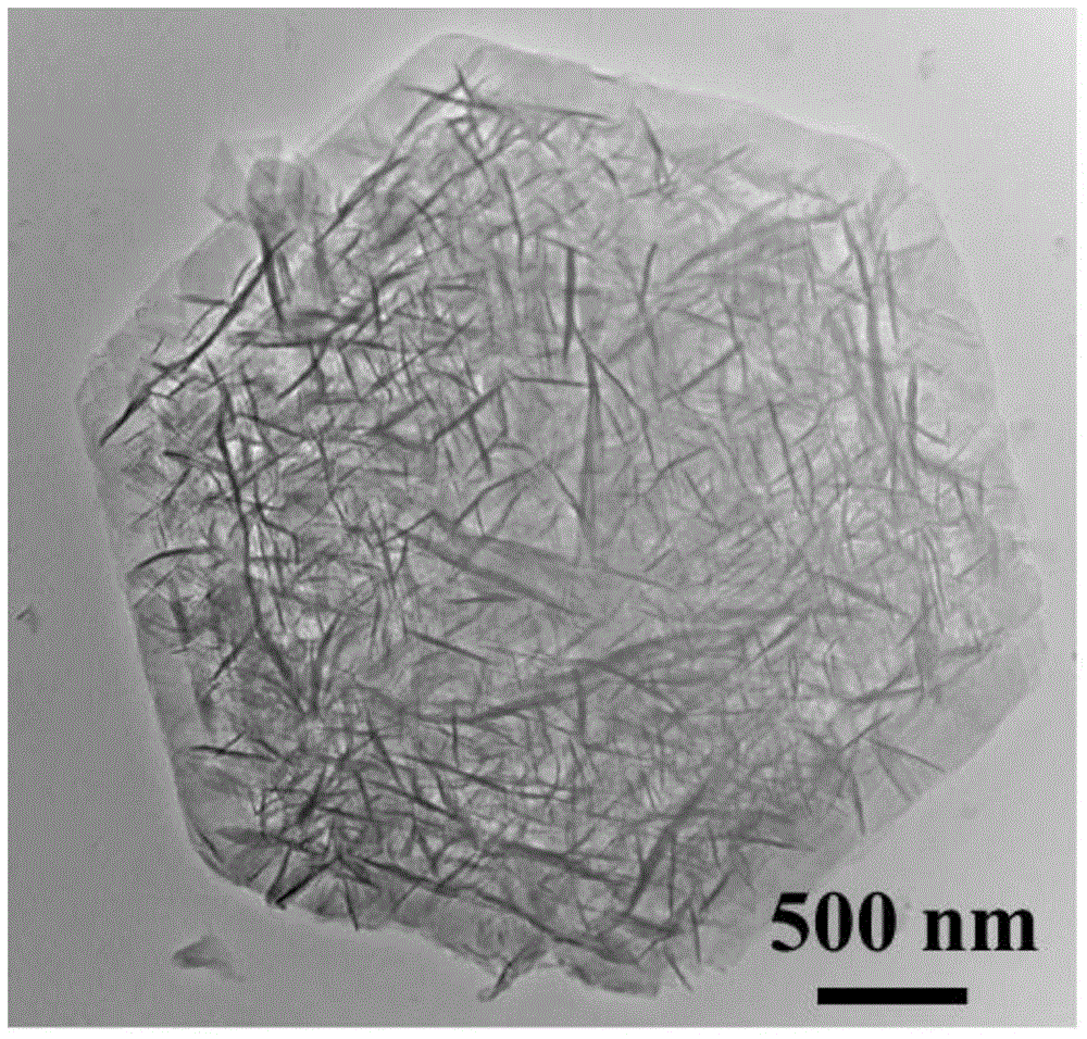 Preparation of multi-stage structured hydrotalcite and application of multi-stage structured hydrotalcite in gasbarrier packaging material