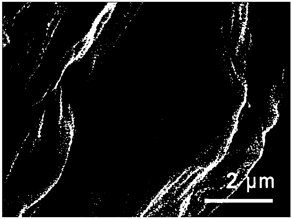 Method for preparing N-doped nano flower-shaped TiO2 photocatalysis material by taking carbonized lotus leaf as substrate