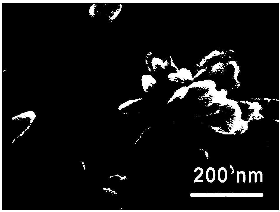 Method for preparing N-doped nano flower-shaped TiO2 photocatalysis material by taking carbonized lotus leaf as substrate