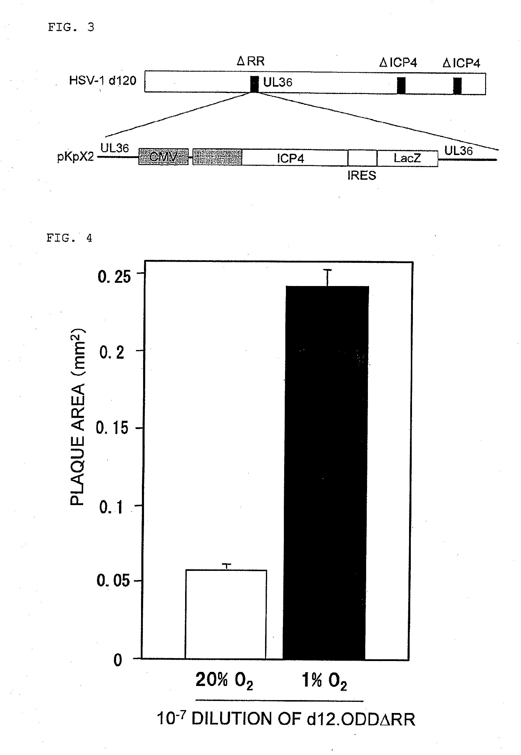 Virus growing in hypoxic cell or virus vector expressing gene therein