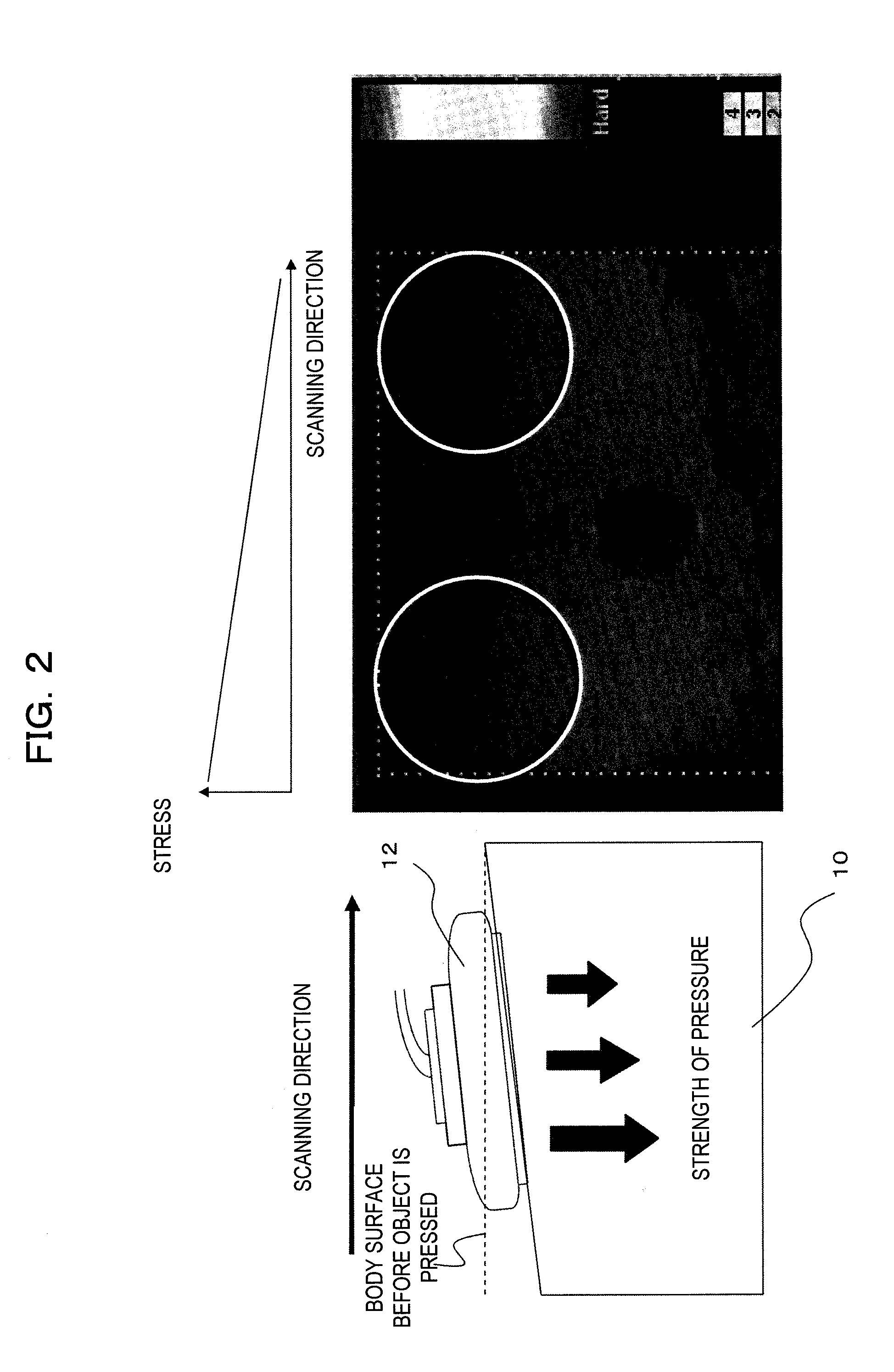 Ultrasonic diagnostic apparatus and elastic image display method