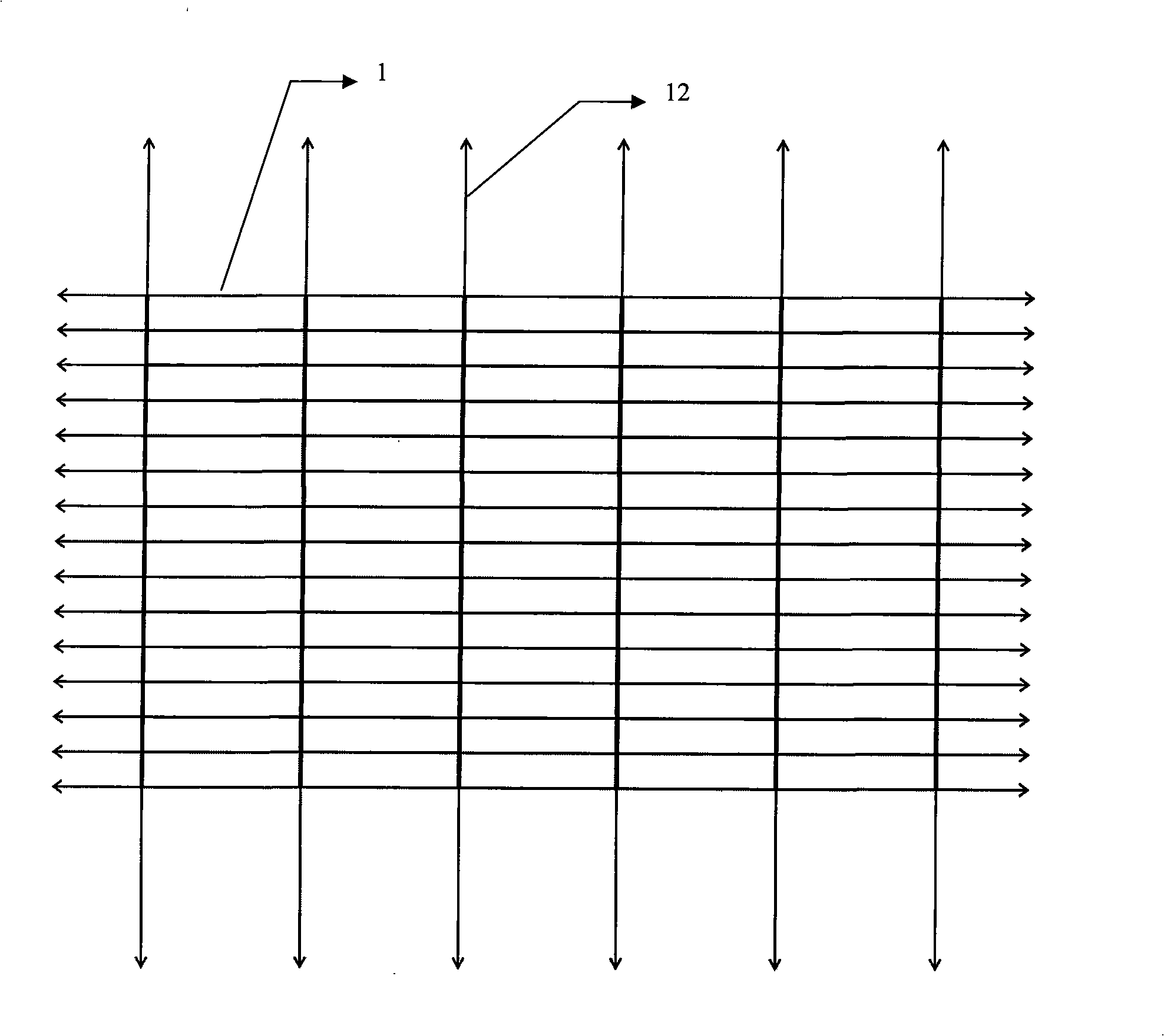 Seashell and algae shallow-sea ecology rearing device and method