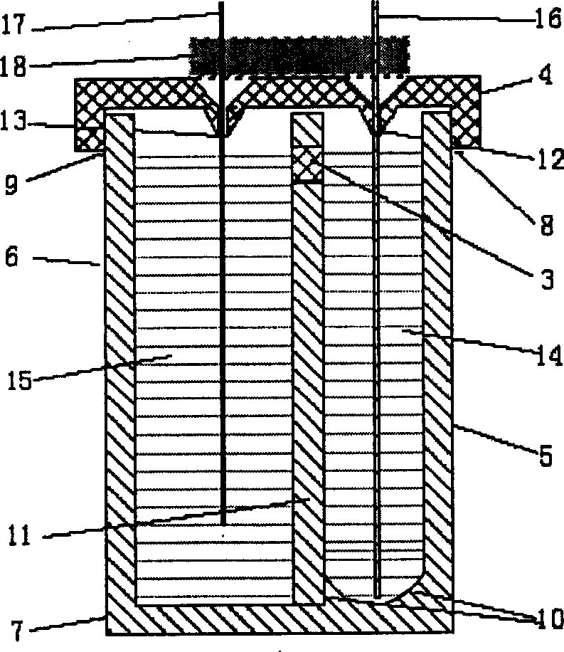 Electric sample introduction composite tube for capillary electrophoresis