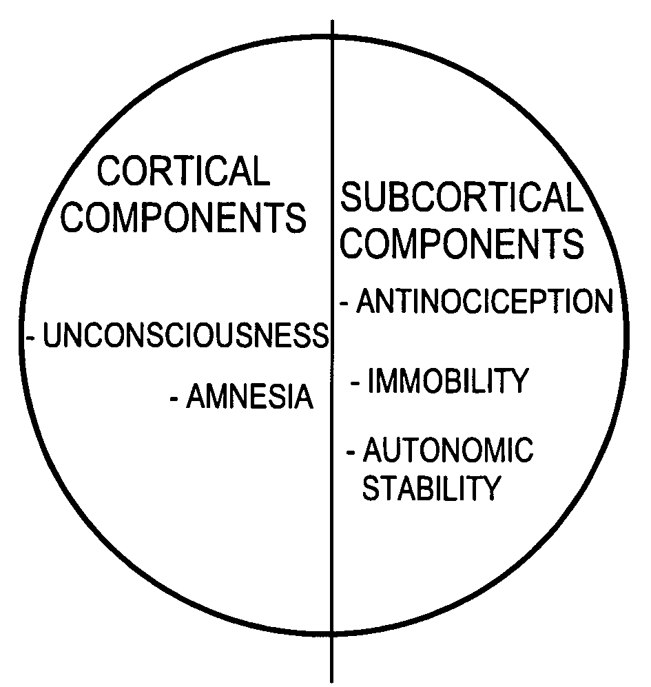 Monitoring pain-related responses of a patient