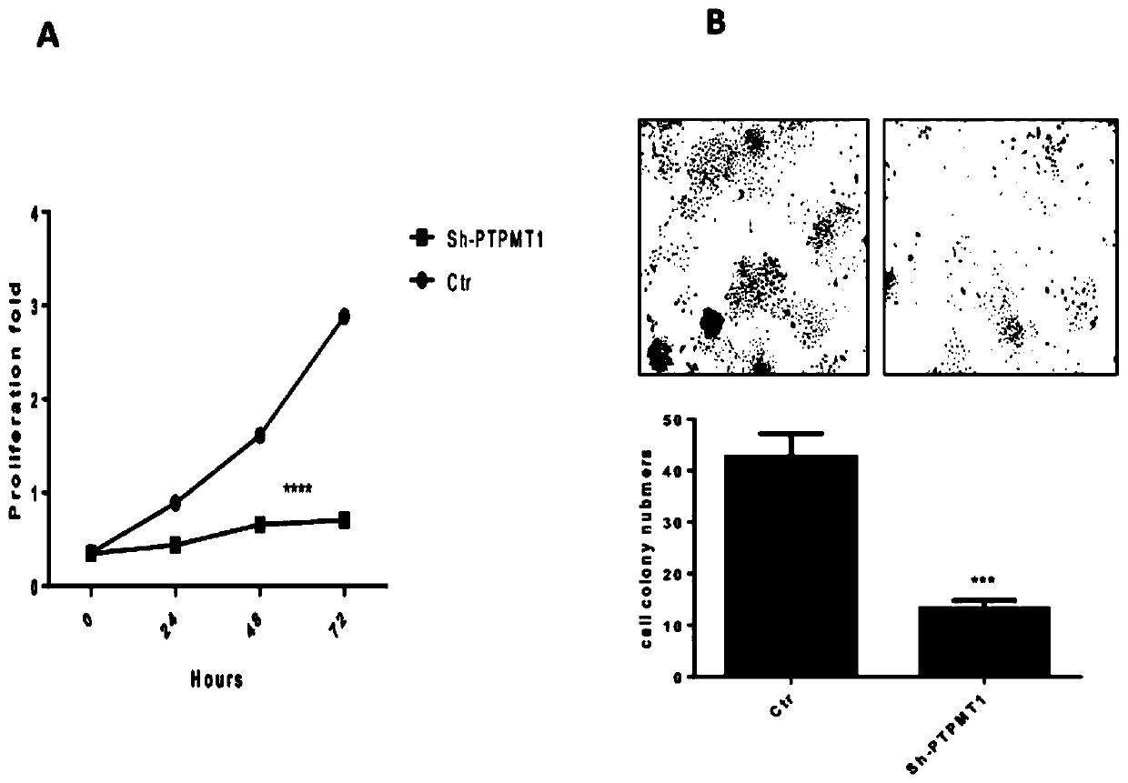 Application of PTPMT1 as lung cancer diagnosis marker and/or treatment target