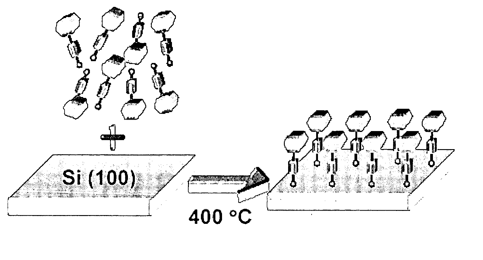 High temperature attachment of organic molecules to substrates