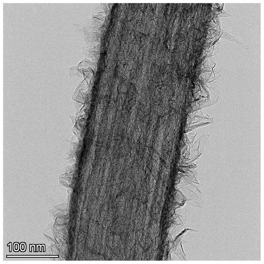 Graphene/boron nitride aerogel and preparation method thereof