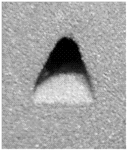 Method for directly machining turbine blade air film irregular holes through laser