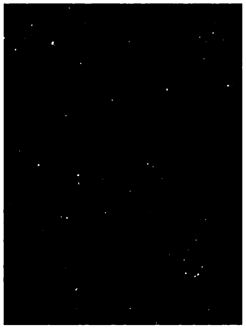 Dried pork slices containing fructus lycii and carrots and production method of dried pork slices