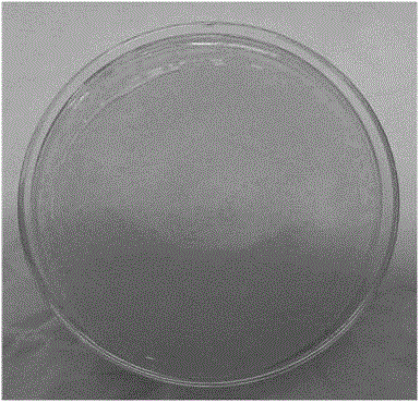 Lignocellulose degrading complex bacterium system and application