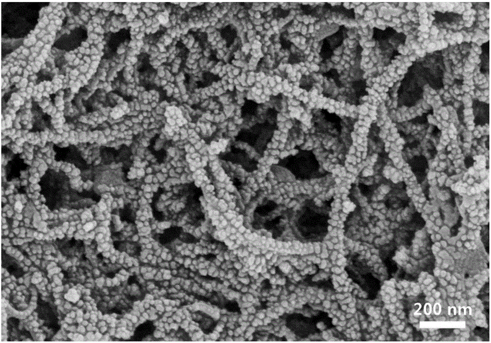 Preparation method of anisotropic conductive macromolecule composite thin film