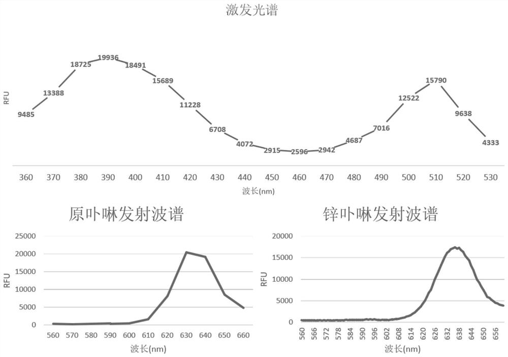 Application of protoporphyrin in preparation of diagnostic kit for hemocytogenic protoporphyrinosis