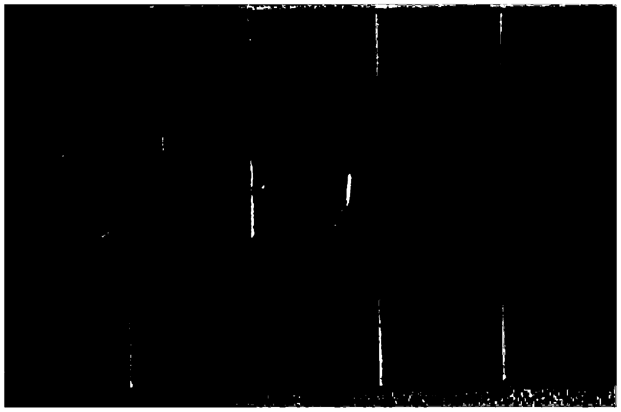 Method and device for fixing cigarette burning cone