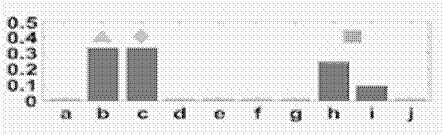 Flame detection method based on video analysis