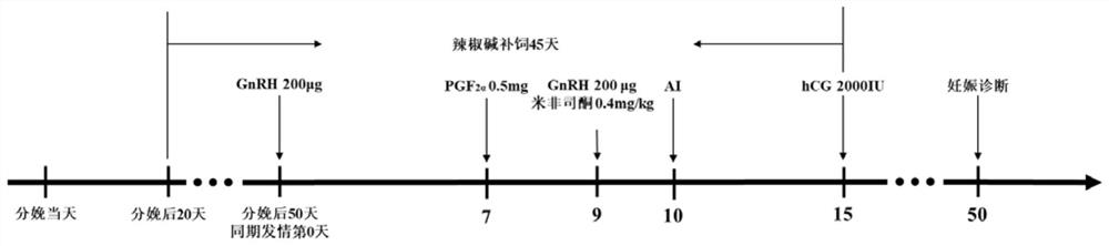 Treatment method for improving reproduction rate and milk yield of dairy cows in summer by adopting capsaicin