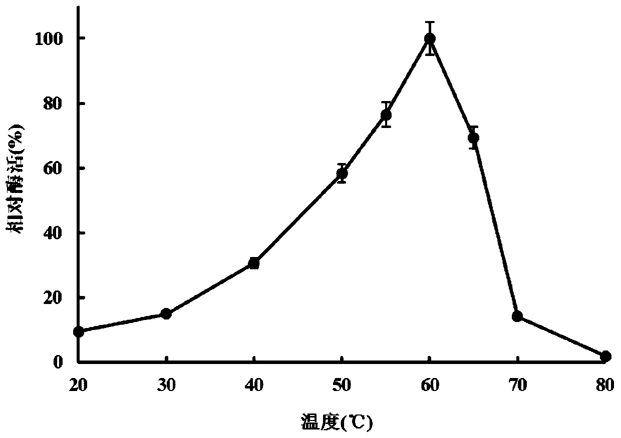 Alkaline protease PA3 and its coding gene and application thereof