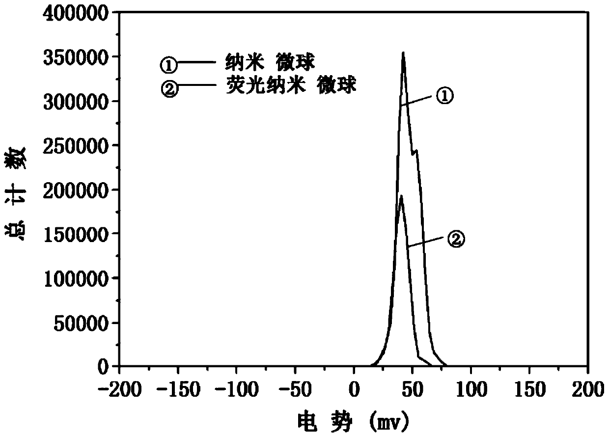 Fluorescent Nanospheres with Positively Charged Surface and Aggregation-Induced Fluorescence Enhanced Properties and Their Biological Applications