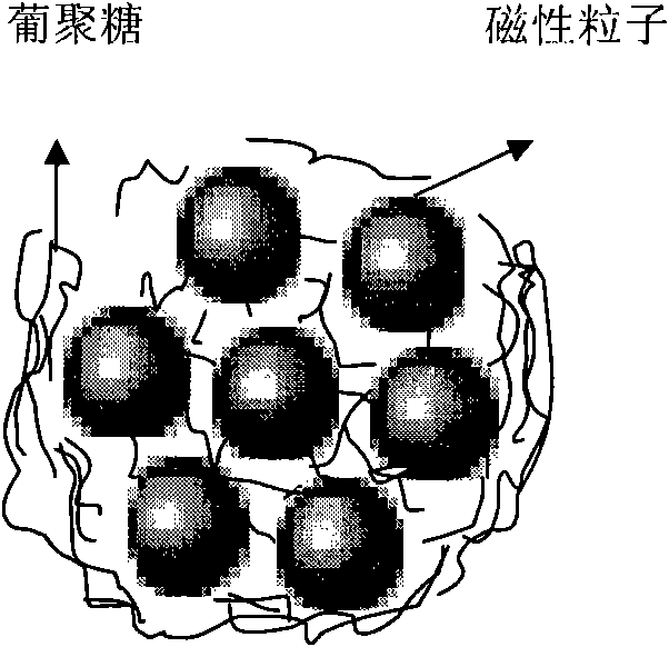 Sephadex magnetic composite particles and preparation and use thereof