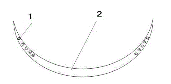 Color contact lens taking scales of morphidae wings as pigment and manufacture method thereof