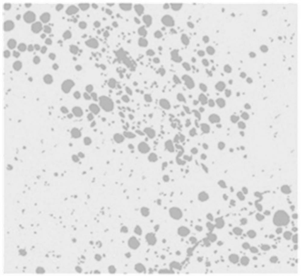 Fatty liver tissue three-dimensional simulation model construction method